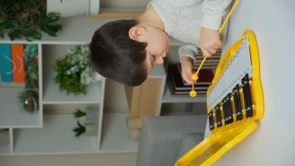 6歳の子供がメタロフォン 打楽器を演奏する — ストック動画