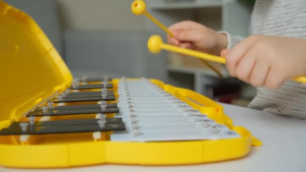 Metalofonda Sopalarla Oynamak Çocuk Perküsyon Müzik Aleti Çalıyor Eller Yakın — Stok video
