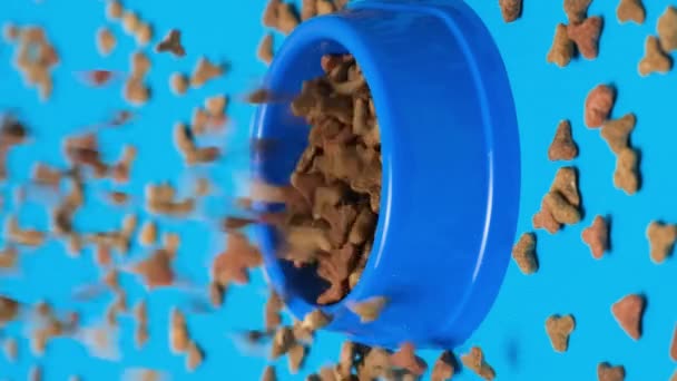 Suche Jedzenie Dla Kotów Wlewające Się Miski Niebieskim Tle Zwolnione — Wideo stockowe