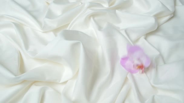 Розовый Цветок Орхидеи Падает Атласное Постельное Белье Замедленная Съемка — стоковое видео