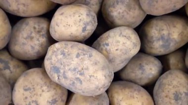 Beyaz patatesler dikey çekimde