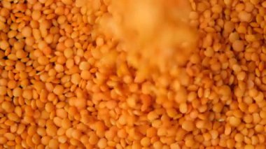 Kırmızı mercimek tanecikleri üst görünüm makro yavaş çekim düşüyor