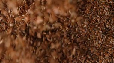 Keten tohumları tepeden tırnağa ağır çekimde akıyor..