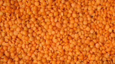 Kırmızı mercimek tanecikleri üst görünüm makro yavaş çekim düşüyor