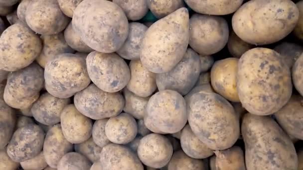 White Potatoes Top View Vertical Shoot — Stock Video