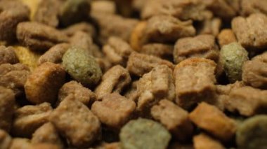 Kediler ve kediler için kuru yiyecek. Tam bir kedi diyeti..