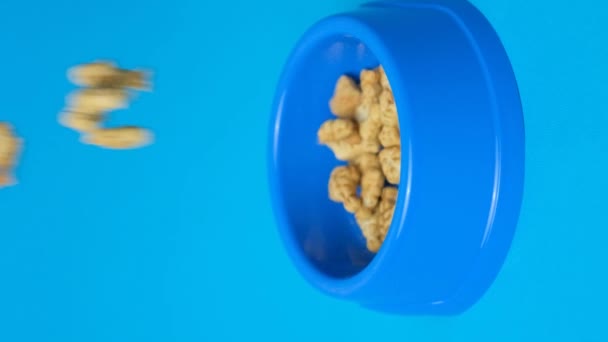 Ciasteczka Kształcie Ryby Kotem Dla Kotów Kociąt Wlewając Miski Niebieskim — Wideo stockowe