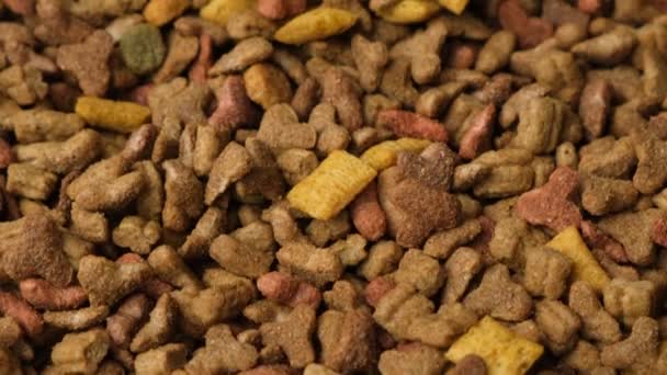 Ξηρά Τροφή Για Κουτάβια Πλήρης Διατροφή Για Σκύλους Κατά Διάρκεια — Αρχείο Βίντεο