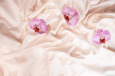 Buruşmuş yatak örtüsünde bir orkide çiçeği. Kadın Sağlığı Konsepti