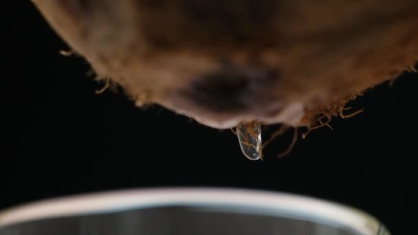 Χυμός Νερού Καρύδας Που Στάζει Από Μακροεντολή Καρύδας Αργή Κίνηση — Αρχείο Βίντεο