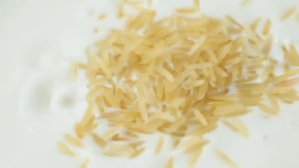 Rijst Gieten Plant Veganistische Rijstmelk Slow Motion — Stockvideo