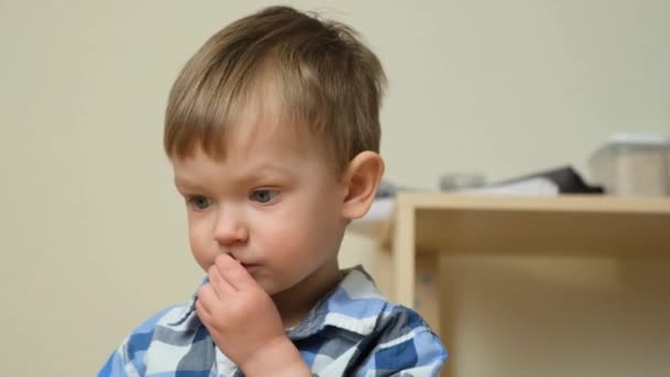 可爱的小男孩吃浆果 肖像画 慢动作 — 图库视频影像