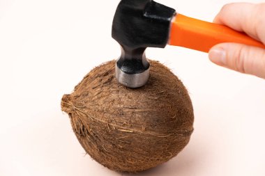 Bir hindistan cevizini çekiçle kırma işlemi. Hindistan cevizi açmanın yolları.