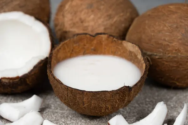 Coconut milk in coconut shell and half coconut, chopped flesh on grey background.