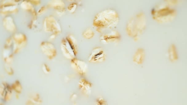 燕麦奶中的燕麦片 垂直宏观拍摄 — 图库视频影像
