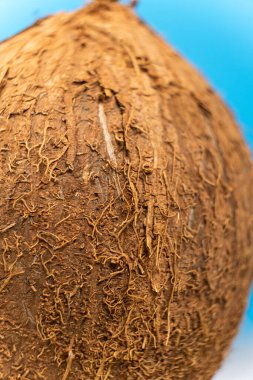 Hindistan cevizi kabuklu makro, kahverengi hindistan cevizi dış görünümü