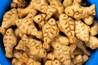 Kediler ve kediler için bir ziyafet mavi bir kasede balık şeklinde kedi naneli kurabiyedir.