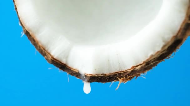 Кокосовий Водяний Сік Стікає Половини Кокосового Горіха Синьому Фоні Повільний — стокове відео