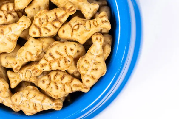 A treat for cats and kittens is a fish-shaped catnip cookie in a blue bowl, copy space for text