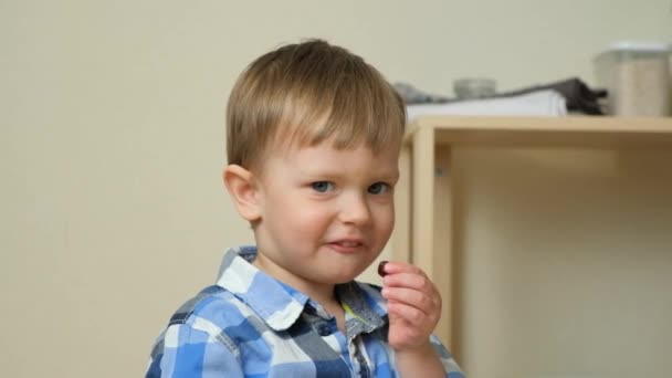 Μικρό Χαριτωμένο Αγόρι Τρώει Μούρα Πορτρέτο Αργή Κίνηση — Αρχείο Βίντεο