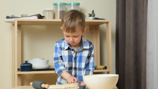キッチンでクッキーカッターと生地を使用してクッキーを作る小さな男の子 スローモーション — ストック動画