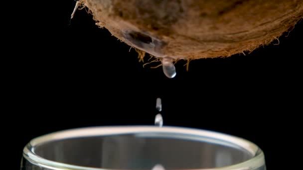 Kokoswater Sap Druipend Van Kokosnoot Macro Slow Motion Zwarte Achtergrond — Stockvideo