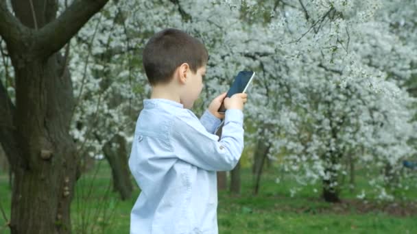 スマートフォンで写真や撮影をする少年桜の木 — ストック動画