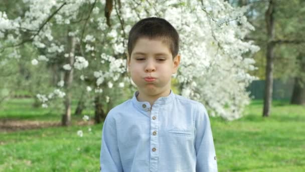 Băiat Drăguț Vârstă Șase Ani Păcălește Zâmbește Umflându Obrajii — Videoclip de stoc