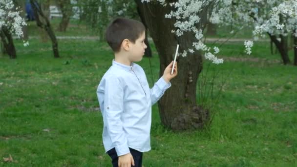 Αγόρι Λήψη Φωτογραφιών Και Κινηματογράφηση Δέντρο Άνθη Κερασιάς Smartphone — Αρχείο Βίντεο
