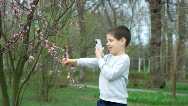 Oğlan Fotoğraf Çekiyor Akıllı Telefondan Video Çekiyor Baharda Pembe Çiçeklerle — Stok video