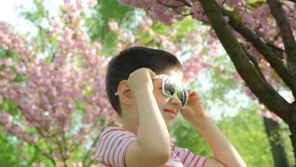 Przystojny Chłopiec Podziwiający Wiśniowe Kwiaty Wiosną Odbicia Drzew Okularach Przeciwsłonecznych — Wideo stockowe