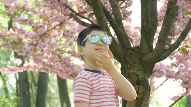 Przystojny Chłopiec Podziwiający Wiśniowe Kwiaty Wiosną Odbicia Drzew Okularach Przeciwsłonecznych — Wideo stockowe