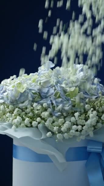 Білі Квіти Гіпсофіли Падають Букет Повільний Рух Синьому Фоні — стокове відео