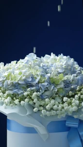 Flores Gypsophila Blanca Cayendo Ramo Cámara Lenta Sobre Fondo Azul — Vídeos de Stock