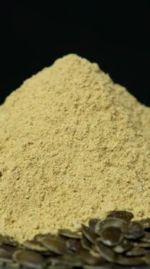 Yerden taze balkabağı tohumları, bir süper yiyecek, bitkisel protein ve vitamin kaynağı.