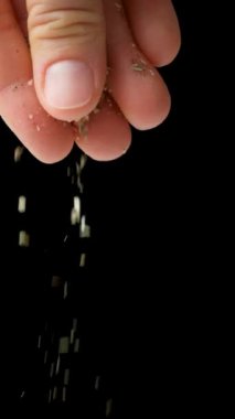 Siyah arka planda, yakın planda, yavaş çekimde İtalyan otları serpiyor..