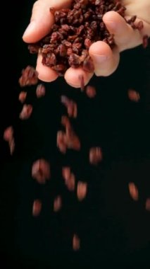 Siyah arkaplana kırmızı kurutulmuş böğürtlen dökülüyor, dikey yavaş çekim.