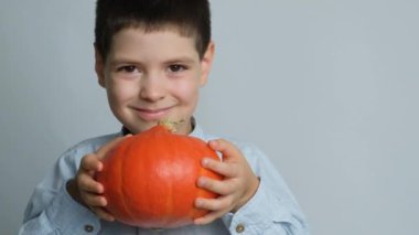 Yedi yaşındaki mutlu çocuk Hokkaido 'nun balkabağını tutuyor ve gülümsüyor.