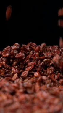 Kırmızı Kurutulmuş Böğürtlen Yükselen Dikey Yavaş Hareket.