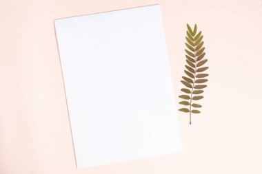 Bej Arkaplan Üzerine Boş Kağıt Sayfası, Üst Görünüm, Metin İçin Yer.