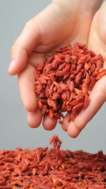 Bir avuç dolusu kurumuş kırmızı kurt üzümü ellerinden dökülüyor, dikey ağır çekimde.