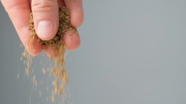 Gri arka planda zemin kişniş dökülüyor, yavaş çekim.