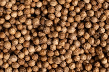 Kişniş taneleri makro üst görünüm