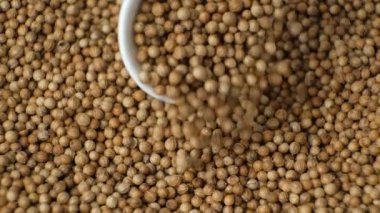 Kişniş tohumları kaşık makrodan yavaş çekimde dökülüyor.