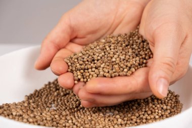 Yakından bir avuç kişniş tanesi..