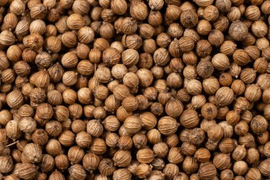 Kişniş taneleri makro üst görünüm