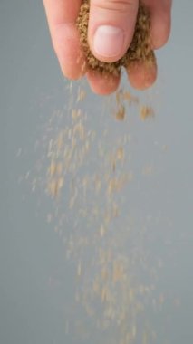 Gri arka planda zemin kişniş dökülüyor, dikey ağır çekim