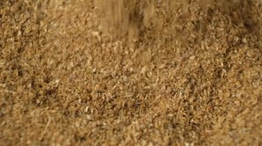 Zemin kişniş Asya baharat dökülen makro yavaş çekim.