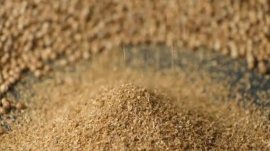 Zemin kişniş Asya baharat dökülen makro yavaş çekim.