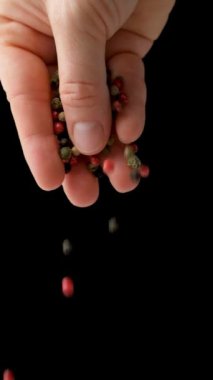 El serpme biber karışımı kırmızı, yeşil, beyaz ve siyah biber, dikey yavaş çekim.